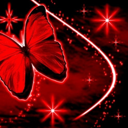 the feelings i could never express to you in person