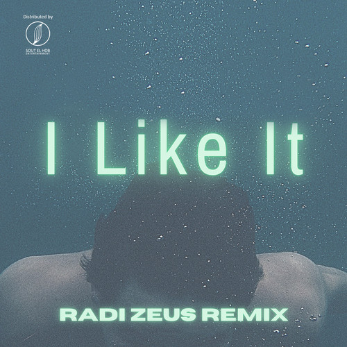 I Like It (Remix) [Explicit]