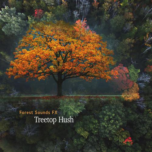 Treetop Hush