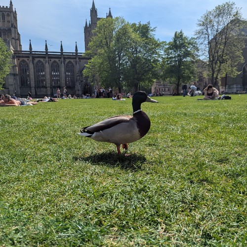 Volatile (Nine Hells Version)