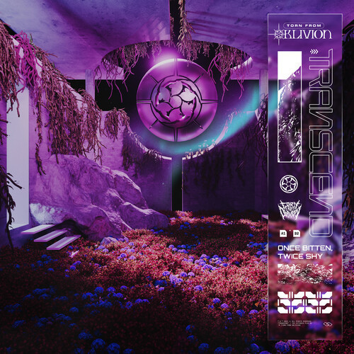 Once Bitten, Twice Shy (Explicit)