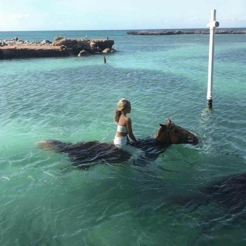 Faded(Deep House Remix)