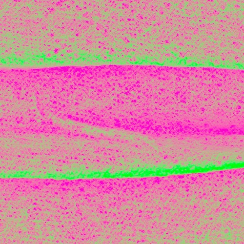 Mina (Betterthief Remix)