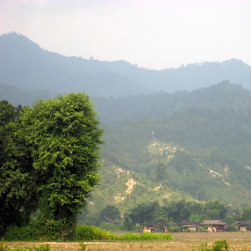 Yaha Fulchhan (feat. Sheela Bista)