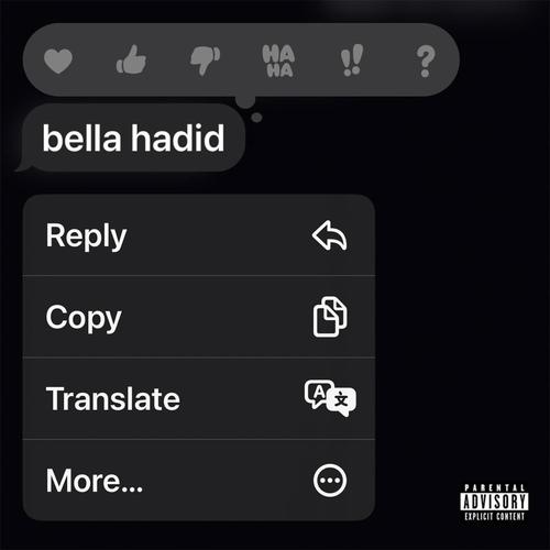 bella hadid (Explicit)
