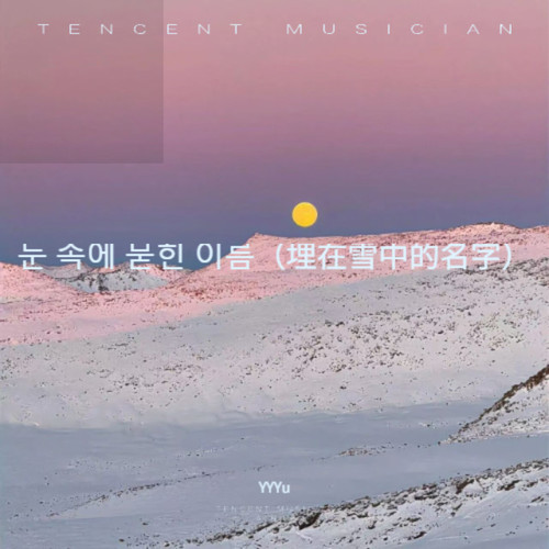 눈 속에 묻힌 이름（埋在雪中的名字）