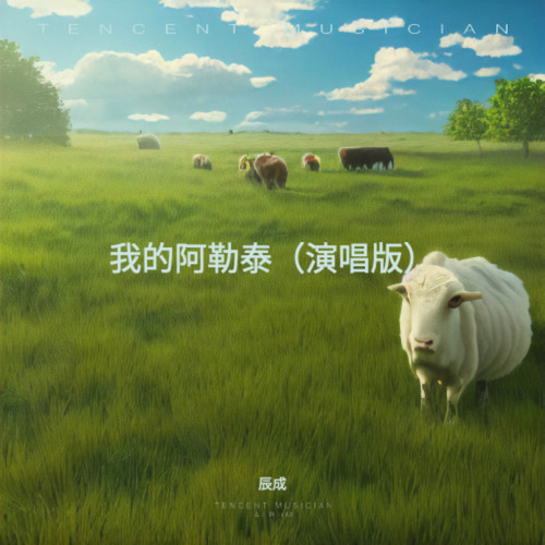 阿普的思念（把牛和羊群放在那片山坡上）