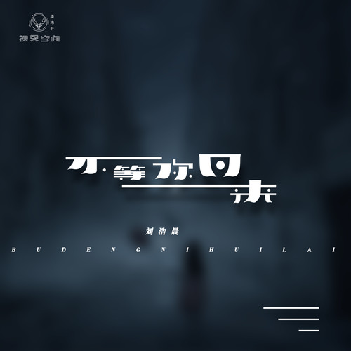 不等你回来