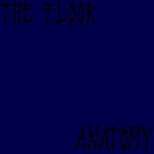 ANATOMY (feat. The Floor) [Explicit]