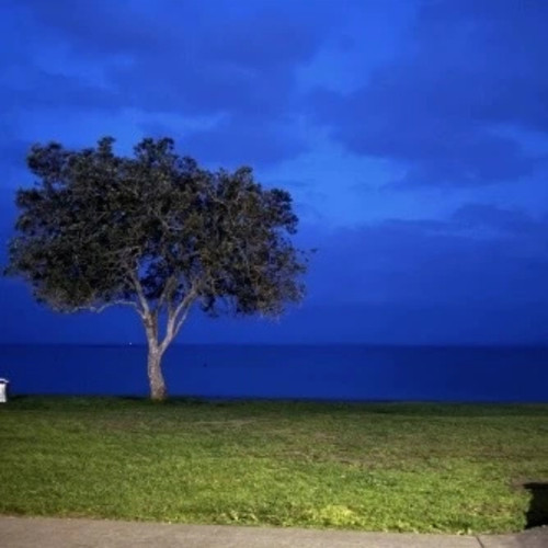 人类需要一点到此为止的勇气