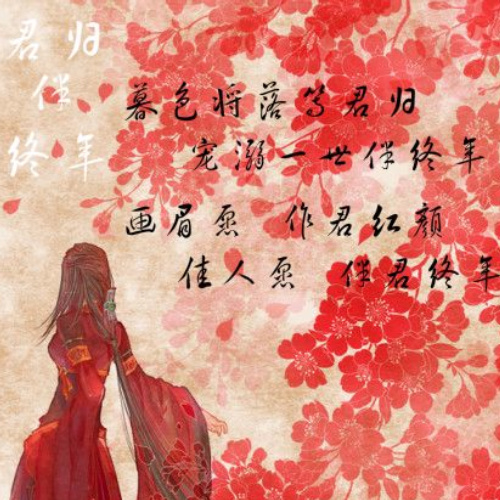 君归伴终年
