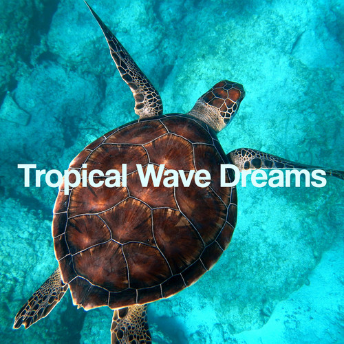 Tropical Wave Dreams