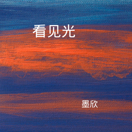 看见光