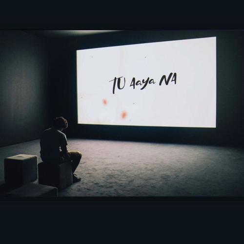 Tu Aaya Na