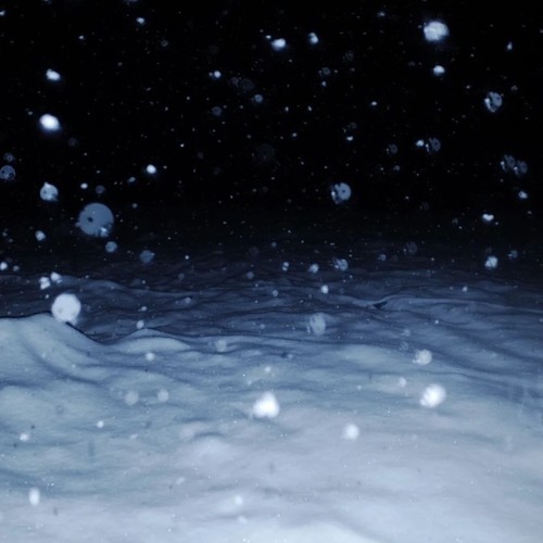 Just A Lil Bit（顶级旋律硬曲）