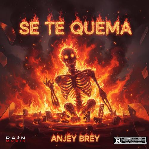 Se Te Quema (feat. Anjey Brey) [Explicit]