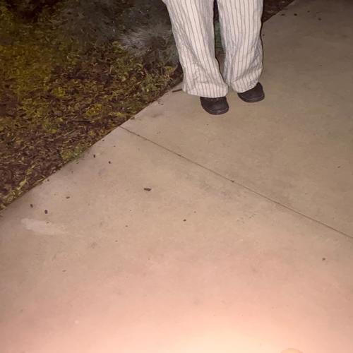 a bugs life (Explicit)