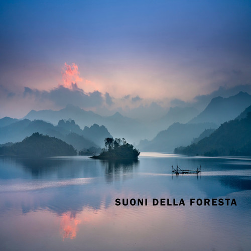 Suoni della Foresta per Dormire Profondamente