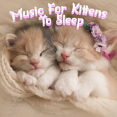 Relaxing Sleeping Music For Cats & Kittens To Sleep All Night