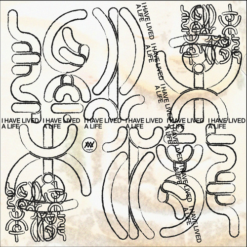 나는 삶을 살았습니다