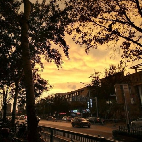 R.（Cover：李子豪(HtFR)）