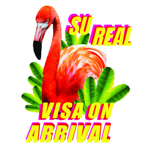 Visa on Arrival