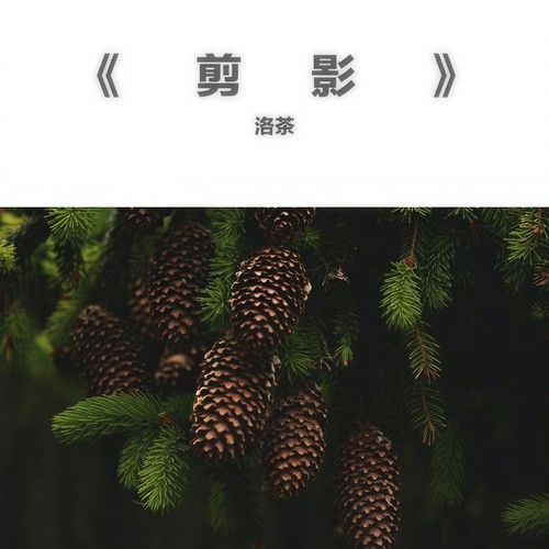剪影