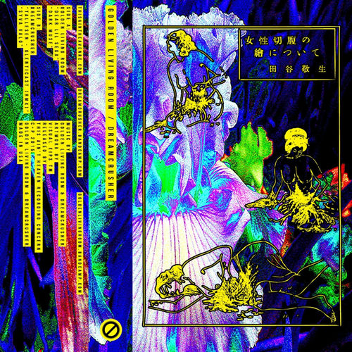 Dear Lil Sega / Dark Muse