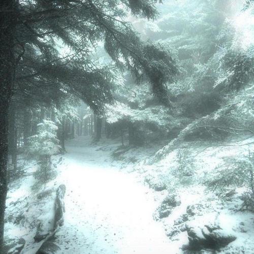 frauds (feat. cezz) [Explicit]