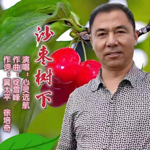 沙枣树下