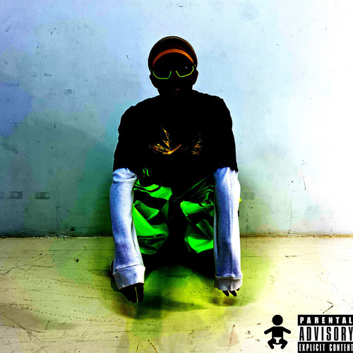 Digital Wasteland (Explicit)