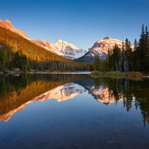 Mezcla Armoniosa: Capas De Sonidos Que Se Despliegan