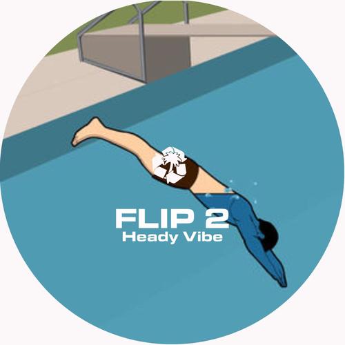 FLIP 2 Heady Vibe