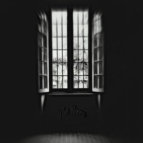 The Room (Martin or no Gina )