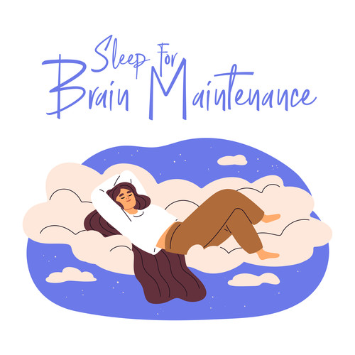 Sleep for Brain Maintenance