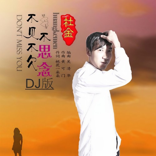 不见不欠不思念（DJ版）