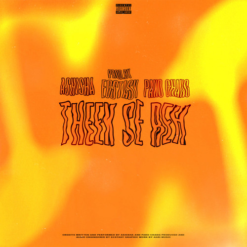 Theek Se Reh (Explicit)