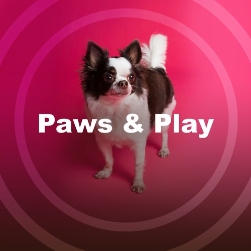 Paws & Play