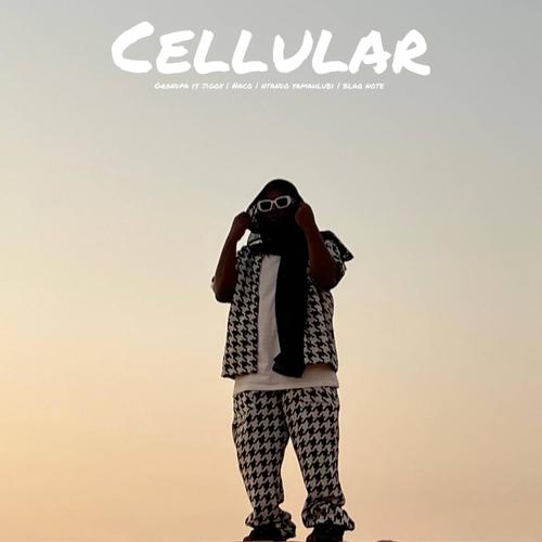 Cellular (feat. Naco, Ntando yamahlubi & Blaq note)