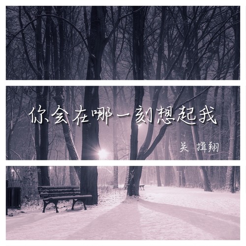 你会在哪一刻想起我