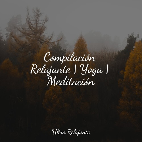 Compilación Relajante | Yoga | Meditación