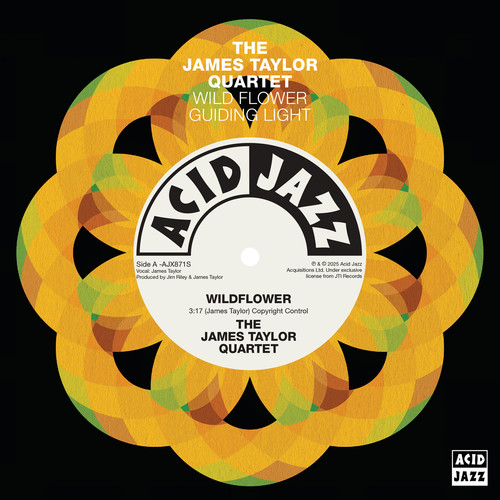 Wildflower / Guiding Light