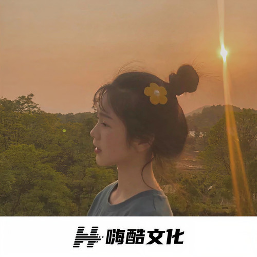 人生苦短何妨一试