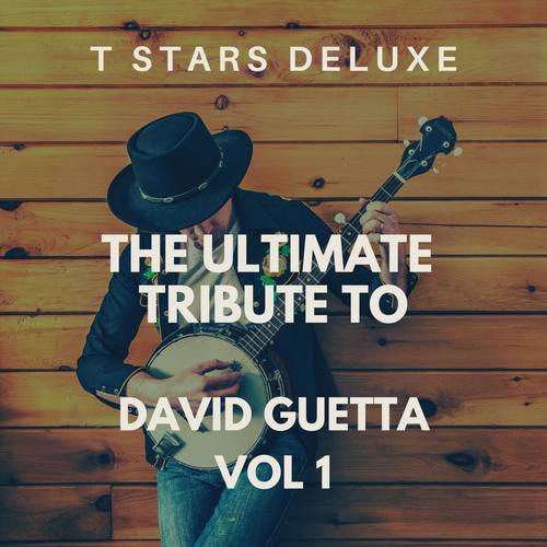 The Ultimate Tribute to David Guetta Vol 1