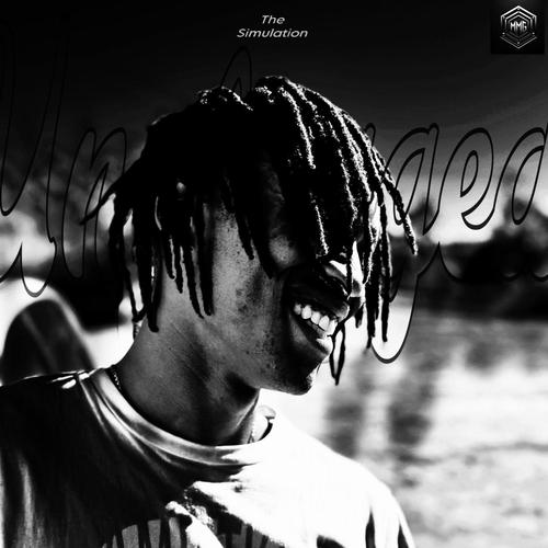 UnPlugged:The Simulation E.P (Explicit)