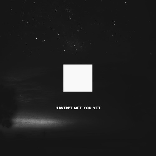 Haven't Met You Yet (Remix)
