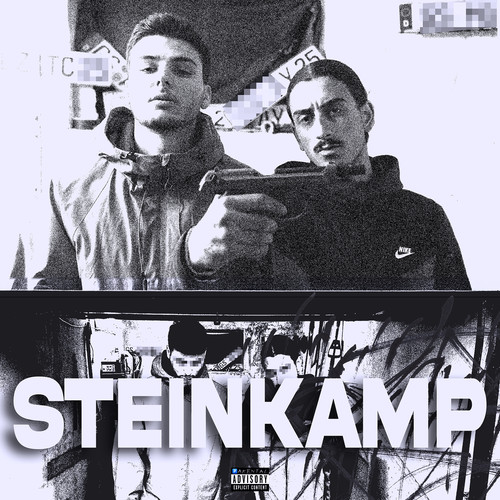 Steinkamp (Explicit)