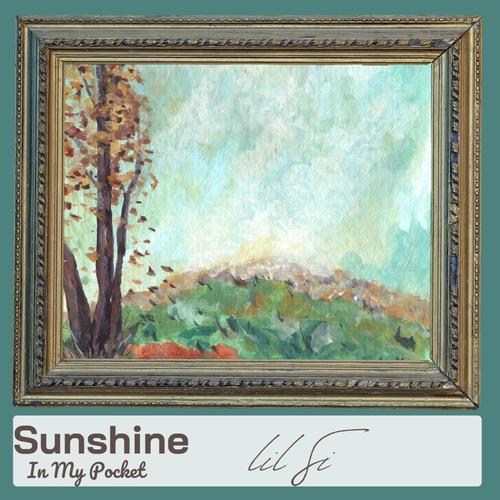 Sunshine in My Pocket