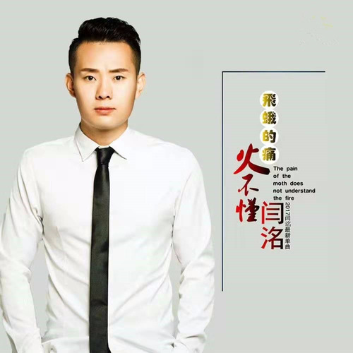 飞蛾的痛火不懂（DJ版）