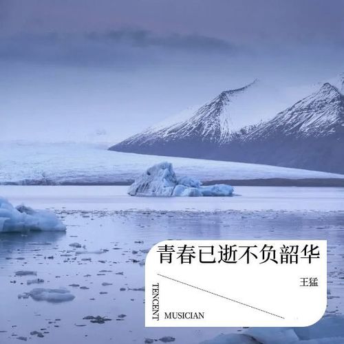 青春已逝不负韶华